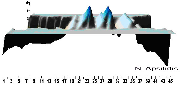cross section